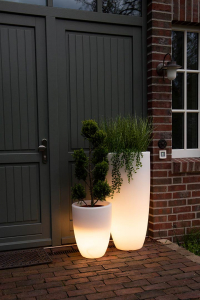 Pflanzgef LED - Light Curvy Pot 